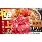 牛肉 3回定期便 佐賀牛 切り落とし 1.2kg