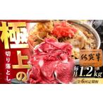 牛肉 6回定期便 佐賀牛 切り落とし 1.2kg