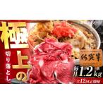 牛肉 12回定期便 佐賀牛 切り落とし 1.2kg