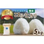 ふるさと納税 米 コシヒカリ 福井県 南越前町 先行予約 令和7年産 南条米 新米 特別栽培米コシヒカリ 真空パック 精米 5kg 10月上旬以降より順次発送 精米5kg…