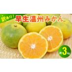 みかん 柑橘類 村田果樹園 訳アリ 早生温州みかん 約3kg