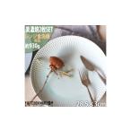 食器 グラス 皿 美濃焼 結 19中皿 白 2枚セット