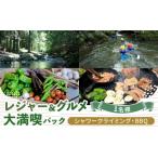 体験チケット シャワークライミング オーガニックバーベキ…