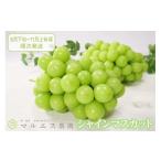 ショッピングふるさと納税 シャインマスカット ふるさと納税 ぶどう マスカット 山梨県 甲州市 クール配送「マルエス農園」シャインマスカット2房〜3房 合計1.5kg以上 2026年発送 （MS）B15-111 2026年発送