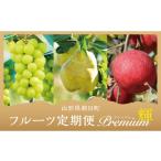 ぶどう マスカット 定期便 3回 フルーツ 3種類