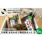 魚貝類 射水のおいしい 新湊産 自家製 おまかせ干物漬魚セ…