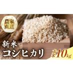 ふるさと納税 玄米 高知県 南国市  玄米 10kg 数量限定 令和7年度 コシヒカリ 玄米 げんまい 10キロ 10kg 順次発送 出荷開始 産地直送 農家直送 米 コメ お米 …