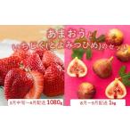 果物の詰合せ B385.あまおう約1 080gといちじく