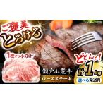 ふるさと納税 牛肉 ステーキ 愛知県 瀬戸市  4月発送 瀬戸山麓牛 牛肉ロースステーキ1kg（約200g×5枚）／ 牛肉 お肉 国産 冷凍 ／ 瀬戸市 ／ 関屋精肉店 BBBQ…