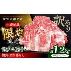 ふるさと納税 牛肉 焼肉・バーベキュー 愛知県 瀬戸市  訳あり 4月発送 瀬戸山麓牛 牛肉焼肉用切り落とし1.2kg ／ 牛肉 切り落とし 牛肉切り落とし 小分け 国…