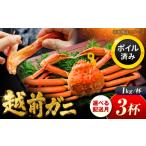 越前がに 1kg×3杯
