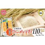 米 ひとめぼれ 11回 定期便 新米予約 無洗米