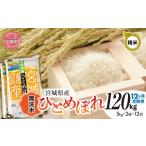 令和8年産 ひとめぼれ 10kg×12回定期便