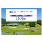 fu.... налог поле для гольфа использование талон Gifu префектура . 100 Цу блок ..... Country Club ( Golf pre - льготный билет ) 3,000 иен минут (3,000 иен минут ×1 листов ) (14) 3,000 иен минут (3,000 иен минут ×...