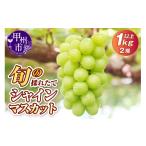 旬の採れたてシャインマスカット1.0kg以上