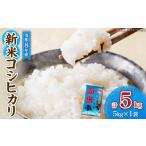 最短翌日発送 新米 コシヒカリ 令和8年産 5kg