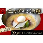 麺類 焼肉冷麺ユッチャン ユッチャン冷麺 3人前