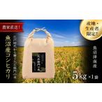 ふるさと納税 米 コシ