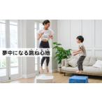 スポーツ アウトドア uFit Trampoline