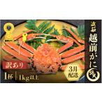 ふるさと納税 カニ ずわいガニ 福井県 越前町  訳あり 浜茹で 越前がに 特大サイズ 1杯（生で1kg以上） 雄 ズワイガニ かに カニ 蟹 越前ガニ 姿 ボイル 冷蔵 …