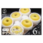 ふるさと納税 りんご 岩手県 奥州市 お試し用 江刺りんご 「シナノゴールド」 6玉 フルーツ 林檎 少量 常温配送 期間限定 数量限定 AQ094