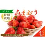 ふるさと納税 いちご 福岡県 篠栗町 福岡県産 特別栽培 あまおう サイズいろいろMIX 約1140g(約285g×4パック) 3月発送 | 農園直送 アフター保証 先行予約 …