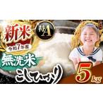 ふるさと納税 無洗米 栃木県 矢板市 栃木県産コシヒカリ 無洗米 5kg 栃木県共通返礼品 | お米 米 こめ 洗米 新米 無洗米 コシヒカリ こしひかり 美味しい お弁…