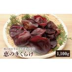 野菜類 きのこ 地の利を生かした沖永良部産