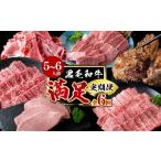 牛肉 ステーキ 定期便全6回 A4 A5等級