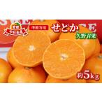 ふるさと納税 果物類 みかん 愛媛県 宇和島市 せとか 5kg 準 贈答用 矢野青果 柑橘の 大トロ 高級 希少 限定 品種 ブランド 高級柑橘 甘い 果物 くだもの フル…