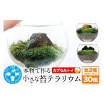 花 苗木 苔 種類おまかせ 本物で作る 小さな苔テラリウム