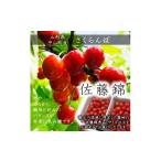 ふるさと納税 びわ・