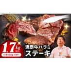 オリジナルスパイス仕込み 1枚220g×8P 合計1.76kg