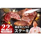 オリジナルスパイス仕込み 1枚220g×10P 合計2.2kg