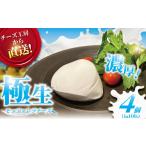 加工品等 チーズ モッツァレラ ちーず cheese 4個