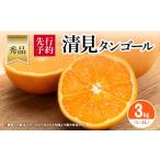 果物類 みかん 秀品 清見タンゴール 3kg