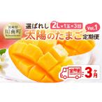 果物の詰合せ 3ヶ月定期便 選ばれし太陽のたまご定期便Vol.1