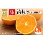 果物類 みかん 秀品 清見タンゴール 5kg