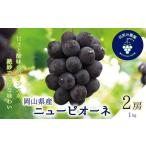 ぶどう 岡山 花笑み農園のニューピオーネ 1kg