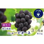 ぶどう 岡山 花笑み農園のニューピオーネ 約2kg