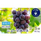 ぶどう 岡山 花笑み農園のニューピオーネ 約2kg