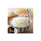ふるさと納税 米 大阪
