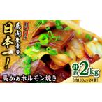 馬肉 熊本 馬かぁホルモン焼き 約2kg