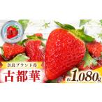 ふるさと納税 いちご 奈良県 五條市 甘くて高級 奈良県産ブランド「 古都華 （ ことか ）」 4パック （約 1080g ）| フルーツ くだもの 果物 いちご イチゴ こ…