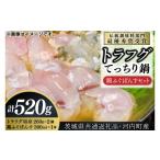 フグ 共通返礼品 トラフグてっちり鍋 錦ふぐぽんすセット