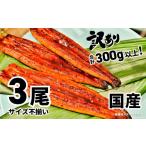 ふるさと納税 うなぎ 茨城県 境町 K1804〈2025年12月発送〉 訳あり さかい河岸水産の国産うなぎ3尾 300g以上 サイズ不揃い うなぎ蒲焼 国産 人気 鰻 うなぎ 3…