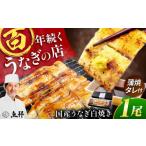 うなぎ 白焼き 1尾
