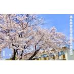 宿泊券 旅館 民宿 内での短期入居体験 1ヶ月