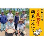 野菜類 令和8年産 訳あり 毎日食べて元気モリモリ