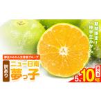 ふるさと納税 果物類 みかん 熊本県 苓北町 訳あり みかん ニュー日南 (夢っ子) 選べる 5kg 10kg 都呂々みかん生産者グループ《2025年9月中旬-10月上旬頃出荷…